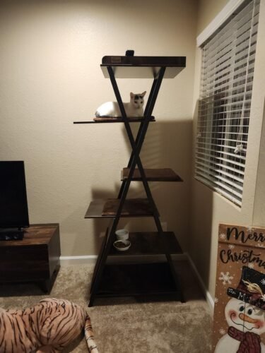 38.2" Modern Multi‑Level Cat Condo photo review