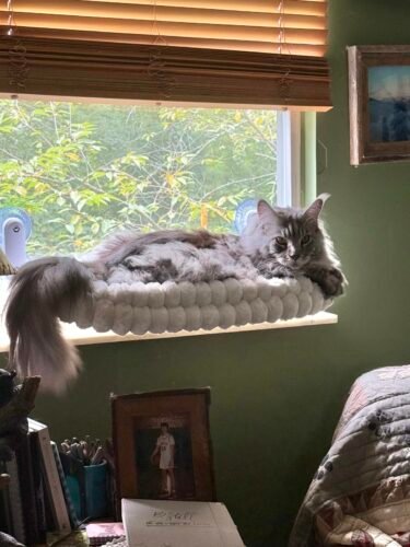 Cheerpals Foldable Cat Window Perch photo review