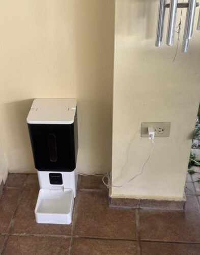 Large Dog Smart Feeder photo review