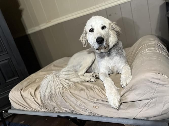 KOPEKS Orthopedic Dog Bed photo review