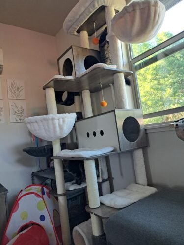Feandrea Multi‑Level Cat Tree photo review