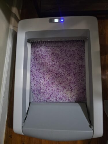 Crystal Pro Uncovered Litter Box photo review