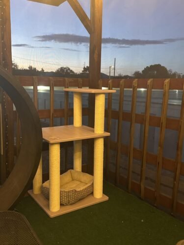 Weatherproof Outdoor Cat Tree photo review