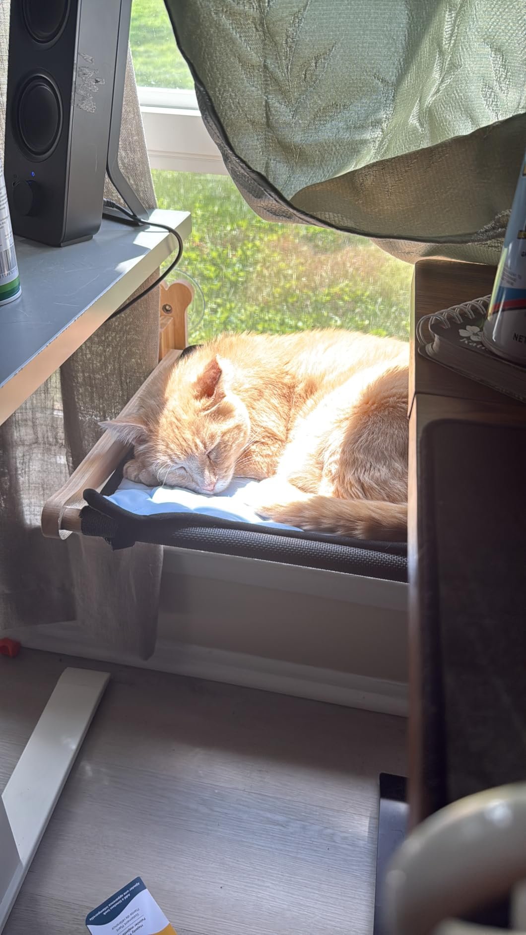 Szee All‑Season Cat Window Perch photo review