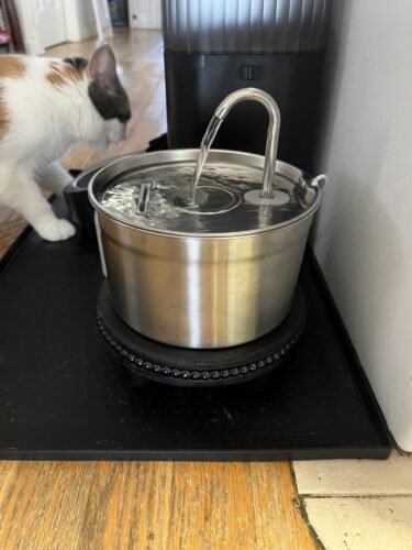 2.2L Ultra‑Silent Cat Fountain photo review