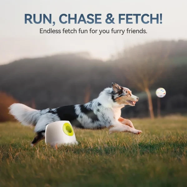 71QWPrgi47L._AC_SL1500_ Rechargeable Dog Ball Launcher