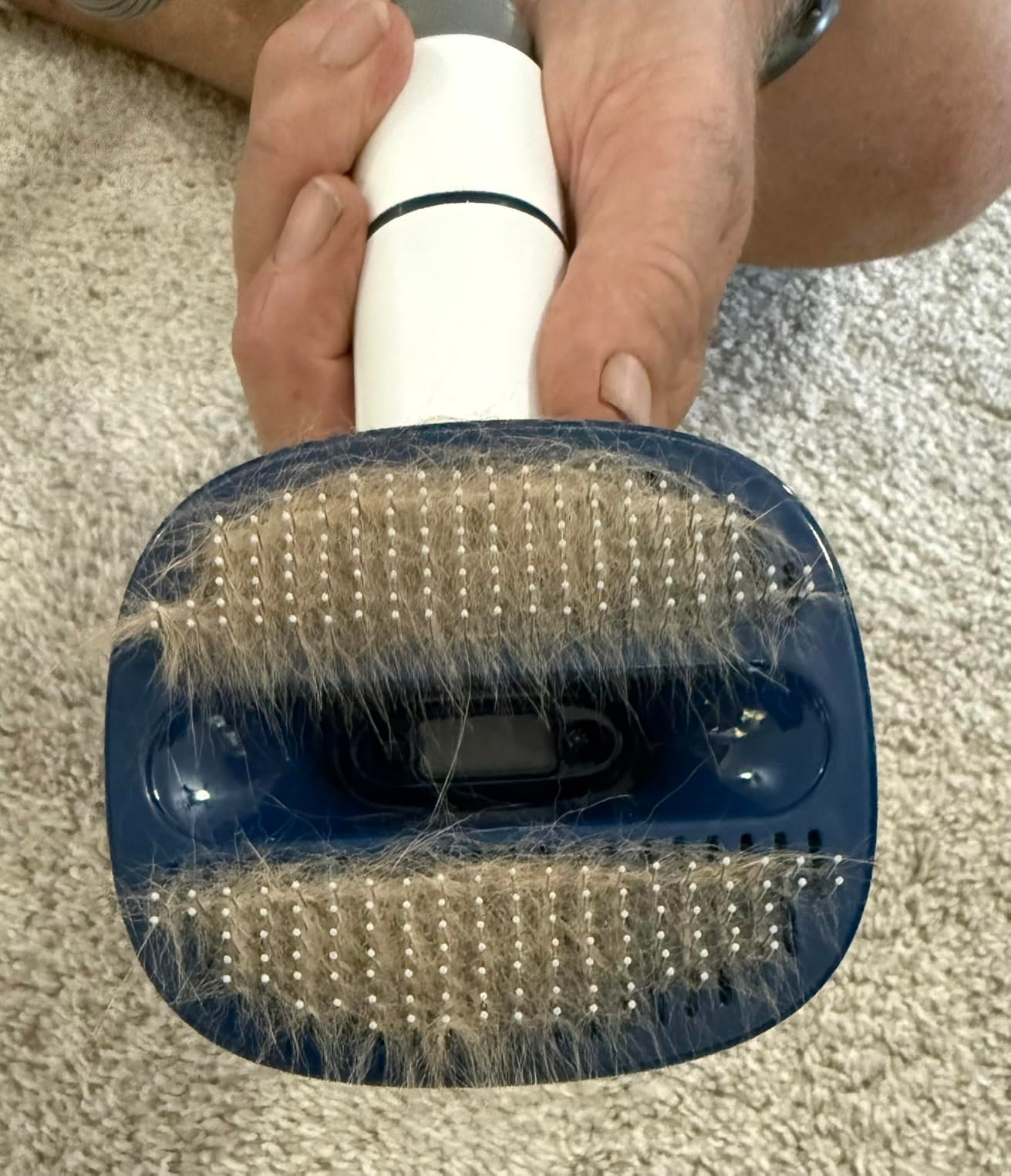 Buenkee Pet Vacuum Kit photo review