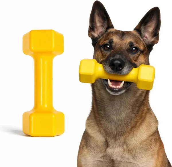 Tough Dumbbell Dog Chew Toy