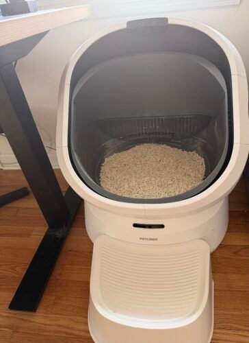 AI‑Powered Open‑Top Litter Box photo review