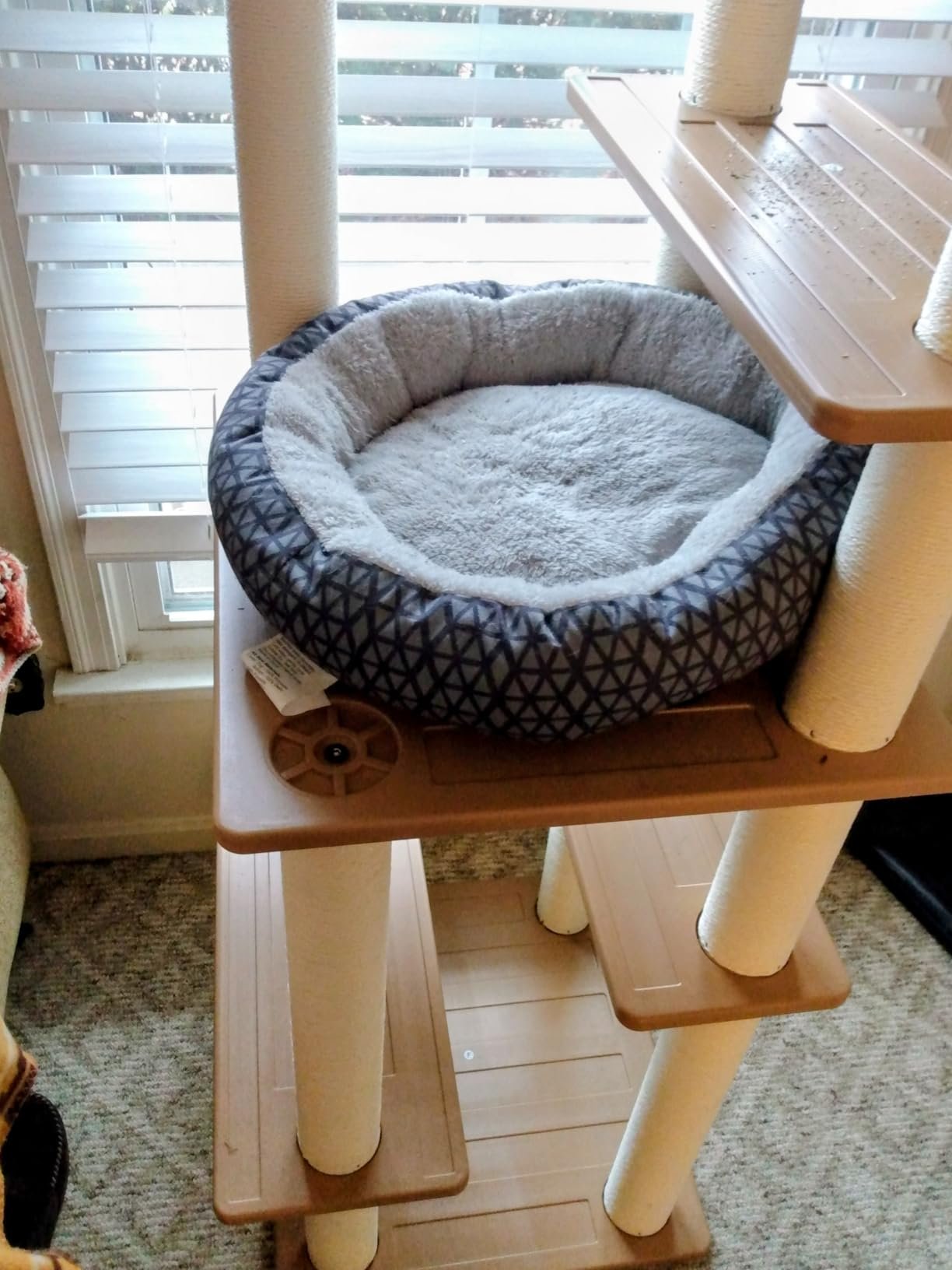 Weatherproof Outdoor Cat Tree photo review