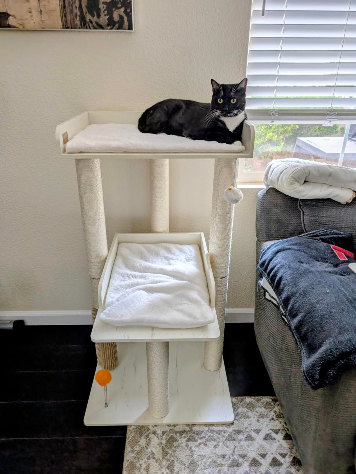 43.7" Easy‑Assemble Modern Cat Tree photo review