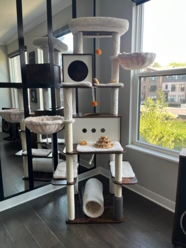 Feandrea Multi‑Level Cat Tree photo review