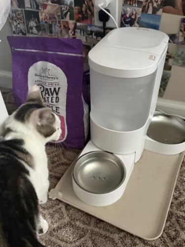 2‑in‑1 Pet Feeder Camera photo review