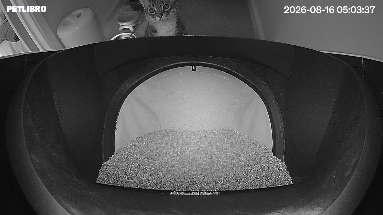 AI‑Powered Open‑Top Litter Box photo review