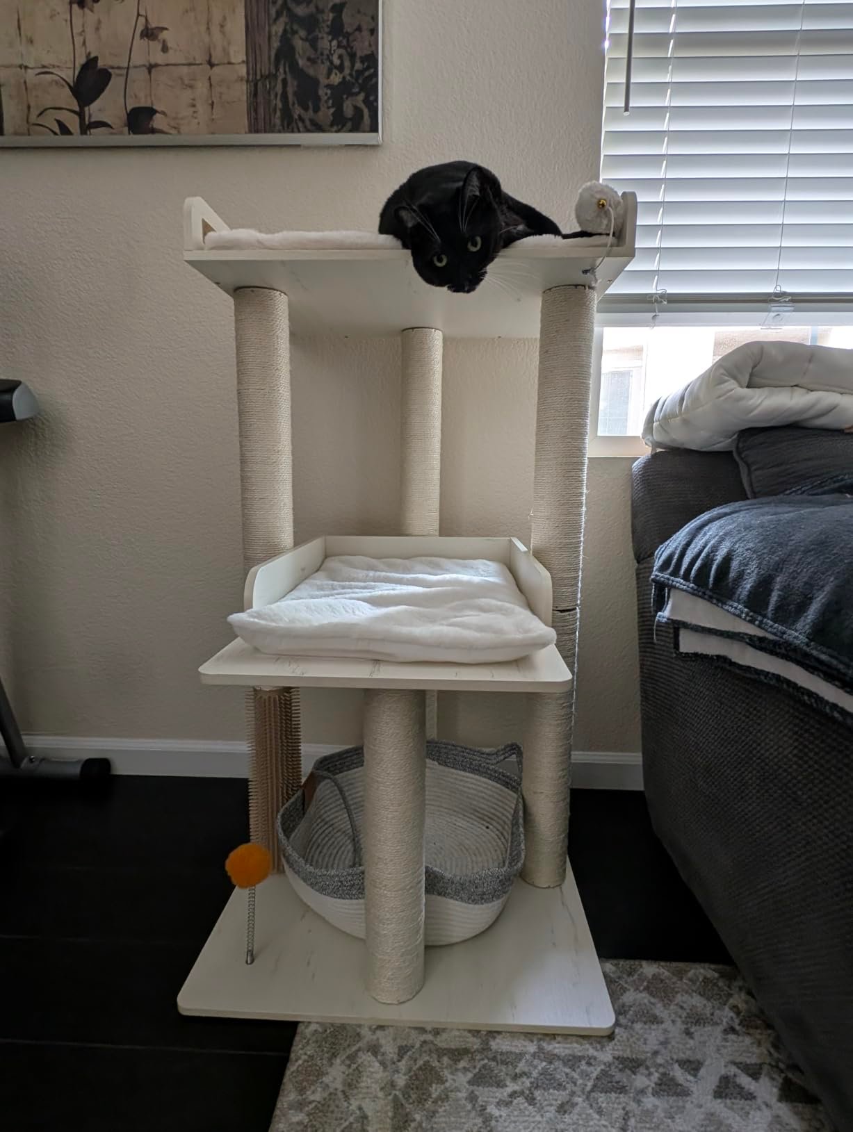 43.7" Easy‑Assemble Modern Cat Tree photo review