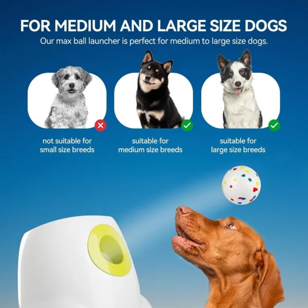 71XSCw5hclL._AC_SL1500_ Rechargeable Dog Ball Launcher