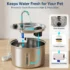 3.5L Stainless Steel Cat Fountain