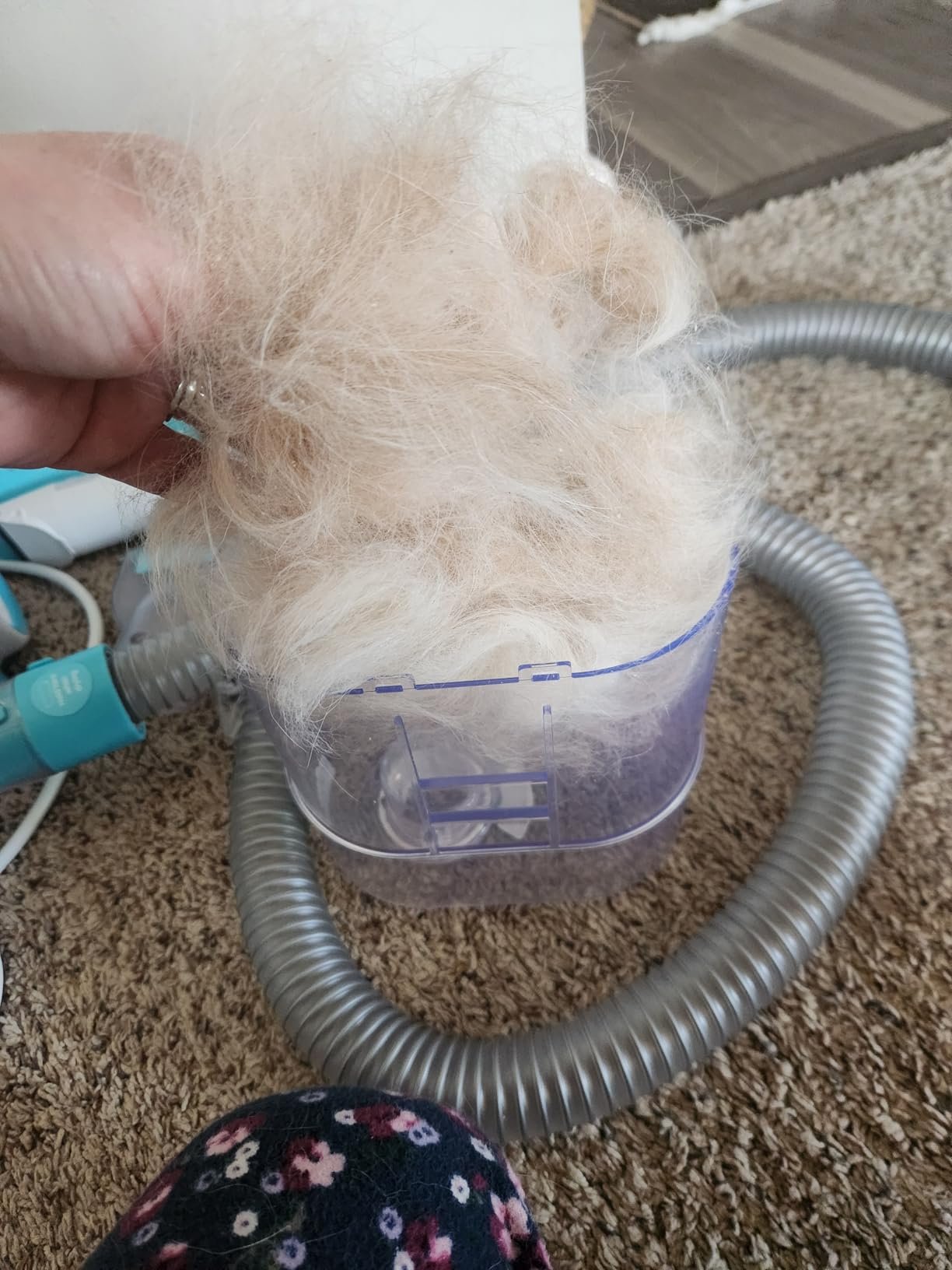 JirPet Hands‑Free Pet Dryer photo review