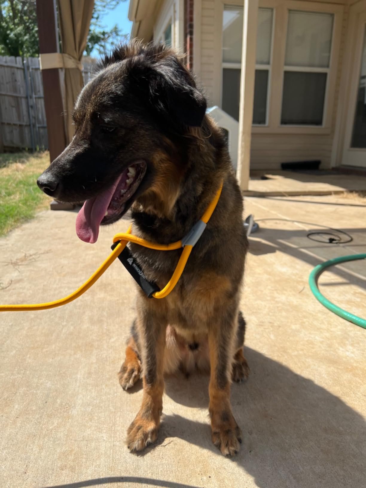 Pro Pet Grooming Vacuum Kit photo review