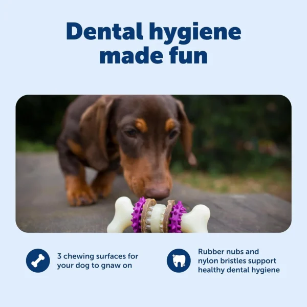 Dental Bristle Bone Dog Toy