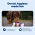 Dental Bristle Bone Dog Toy