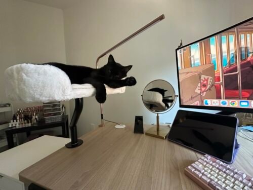 Pawz Road Rotating Cat Desk Bed photo review
