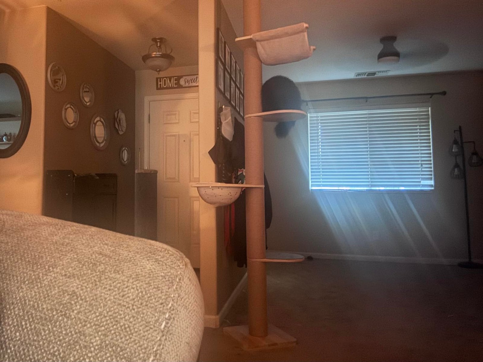 Floor‑to‑Ceiling Cat Tree photo review