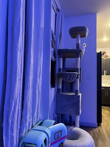 Globlazer Large Cat Tower photo review