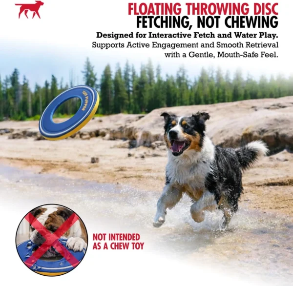 Soft Foam Dog Frisbee Toy