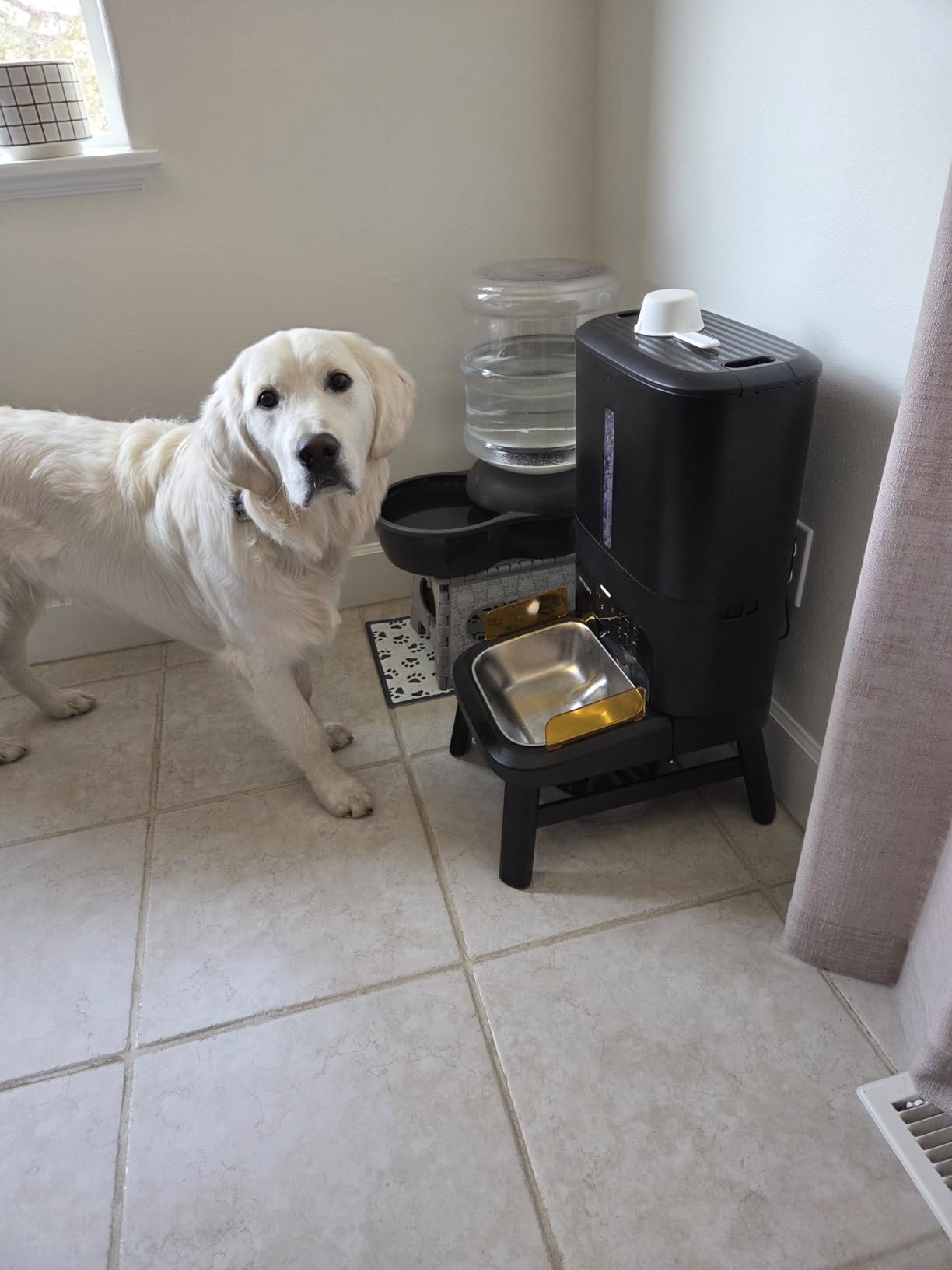Smart Pet Feeder‑Camera photo review