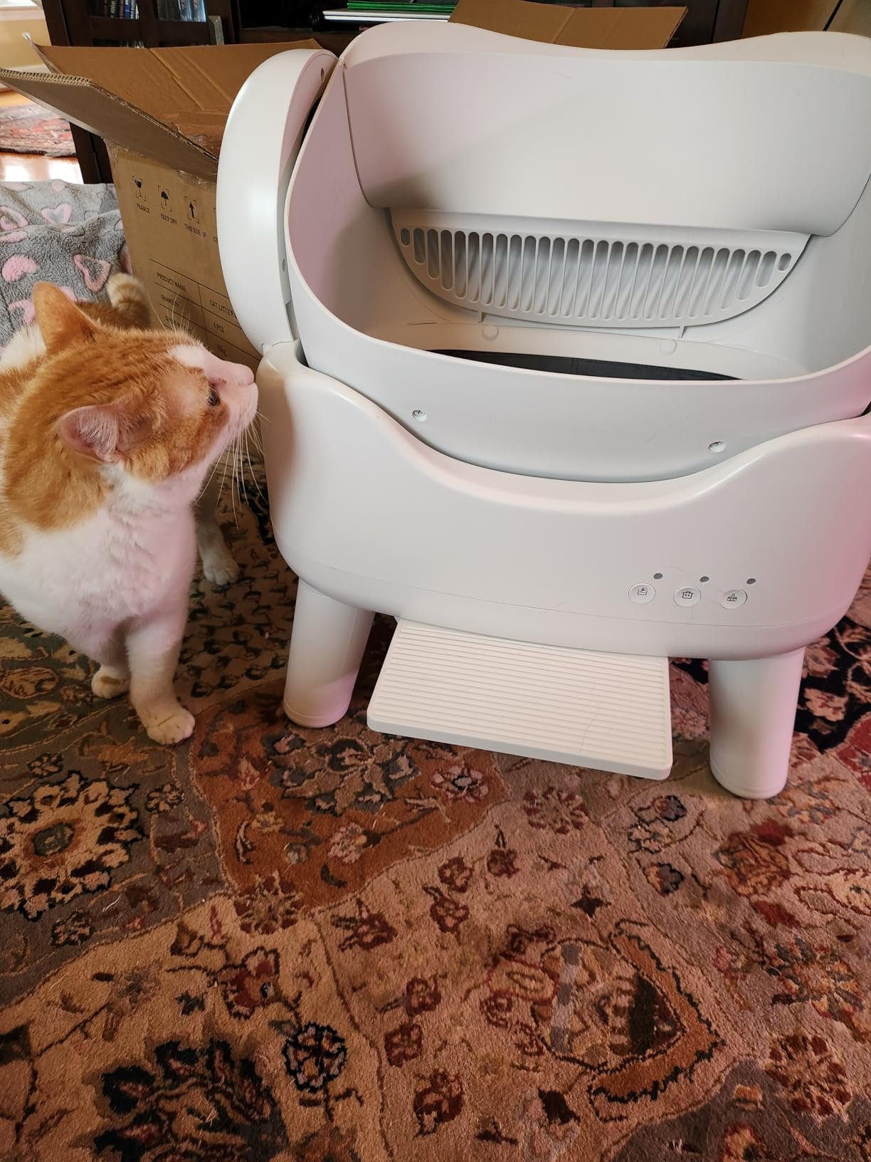 RPZ Smart Litter Box photo review