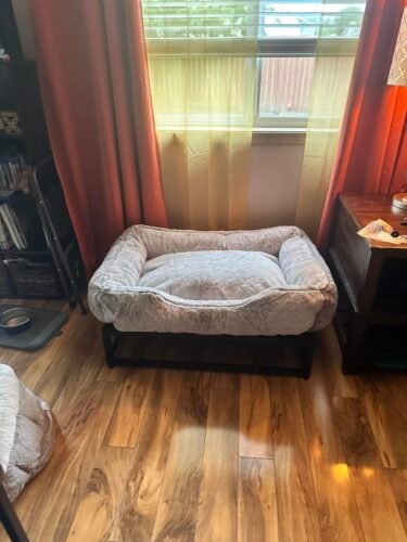 Raised Elevated Pet Dog Bed photo review