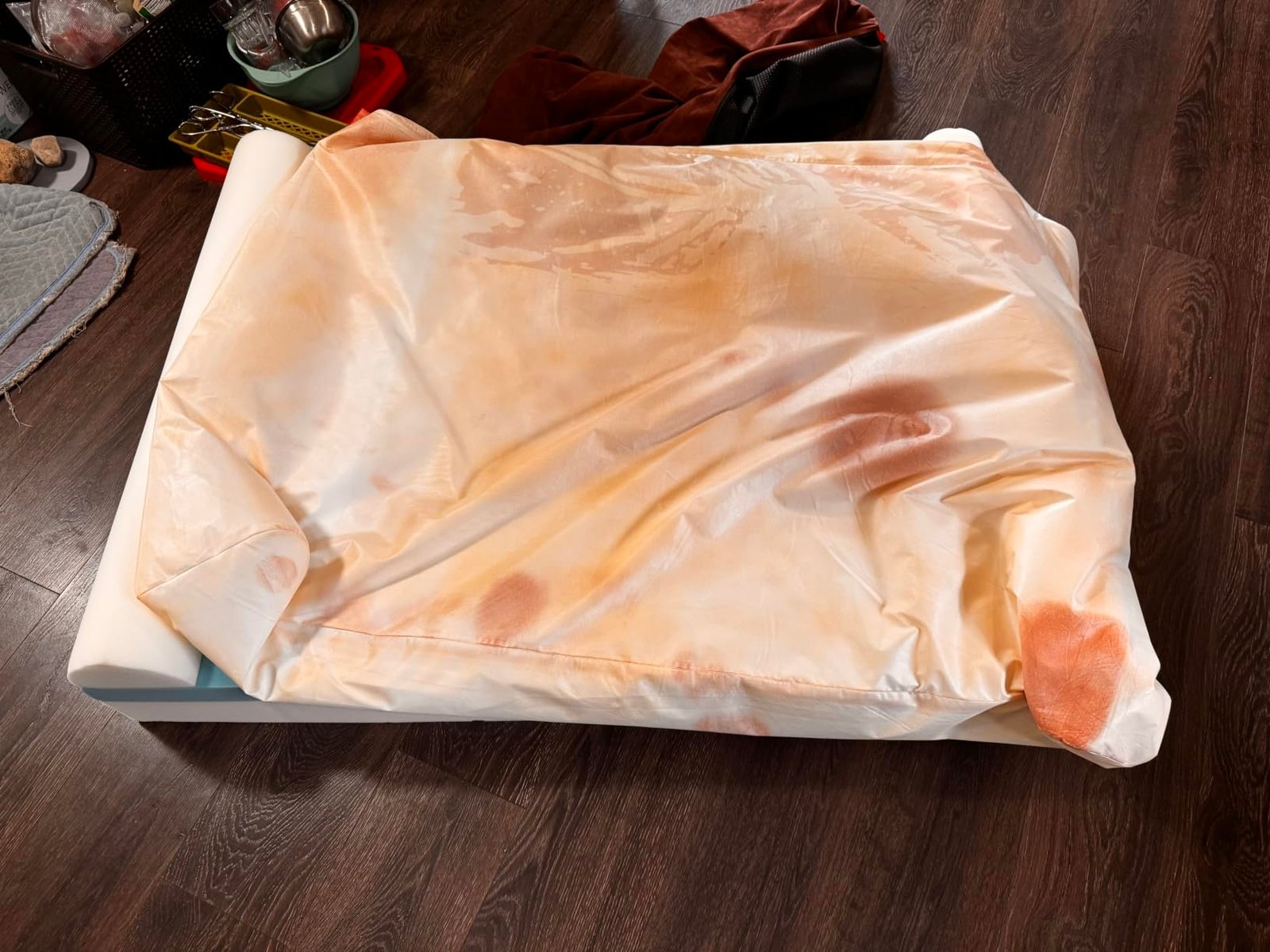 Orthopedic Memory Foam Dog Bed photo review