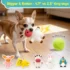 Farm‑Animal Squeaky Dog Toys