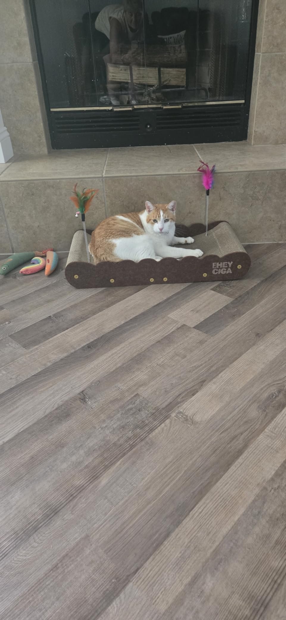 Eheyciga Large Cat Scratcher Bed photo review
