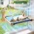 Szee All‑Season Cat Window Perch