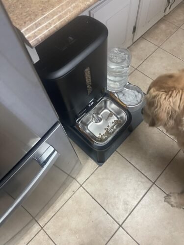 Smart Pet Feeder‑Camera photo review