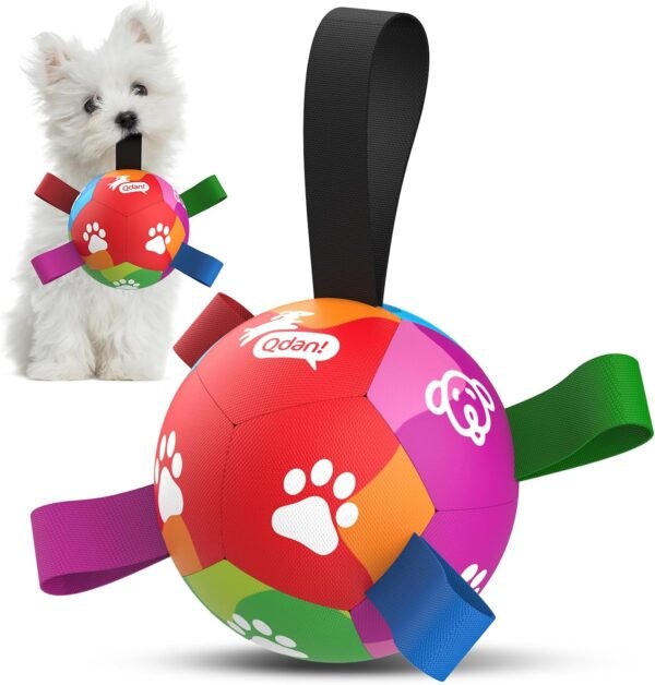71igwCyE3BL._AC_SL1500_ QDAN Durable Dog Soccer Balls