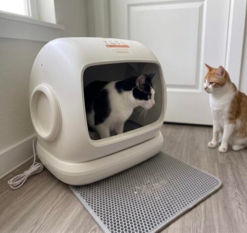 Large Multi‑Cat Litter Box photo review