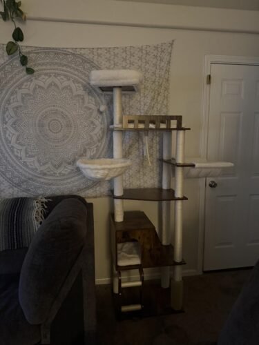 Hey‑brother Wooden Cat Tree photo review