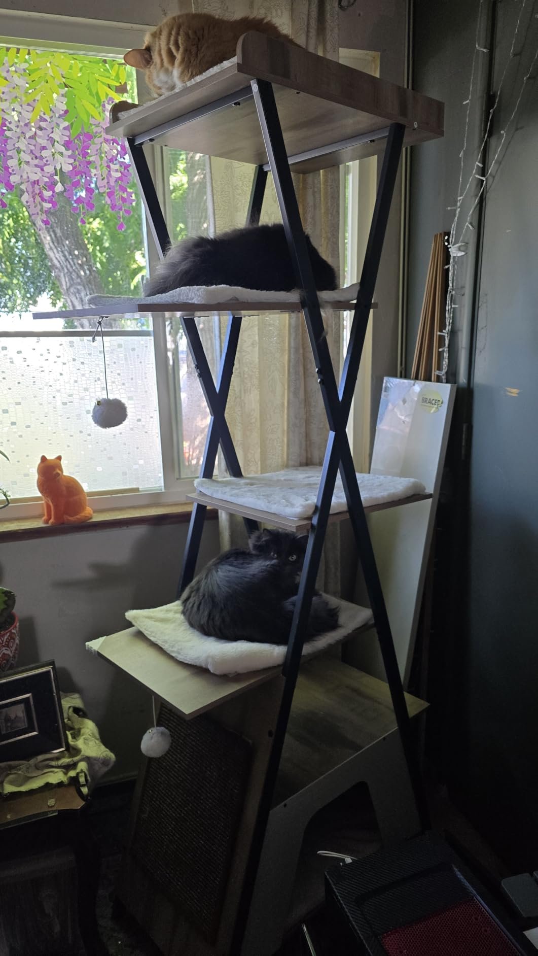 38.2" Modern Multi‑Level Cat Condo photo review