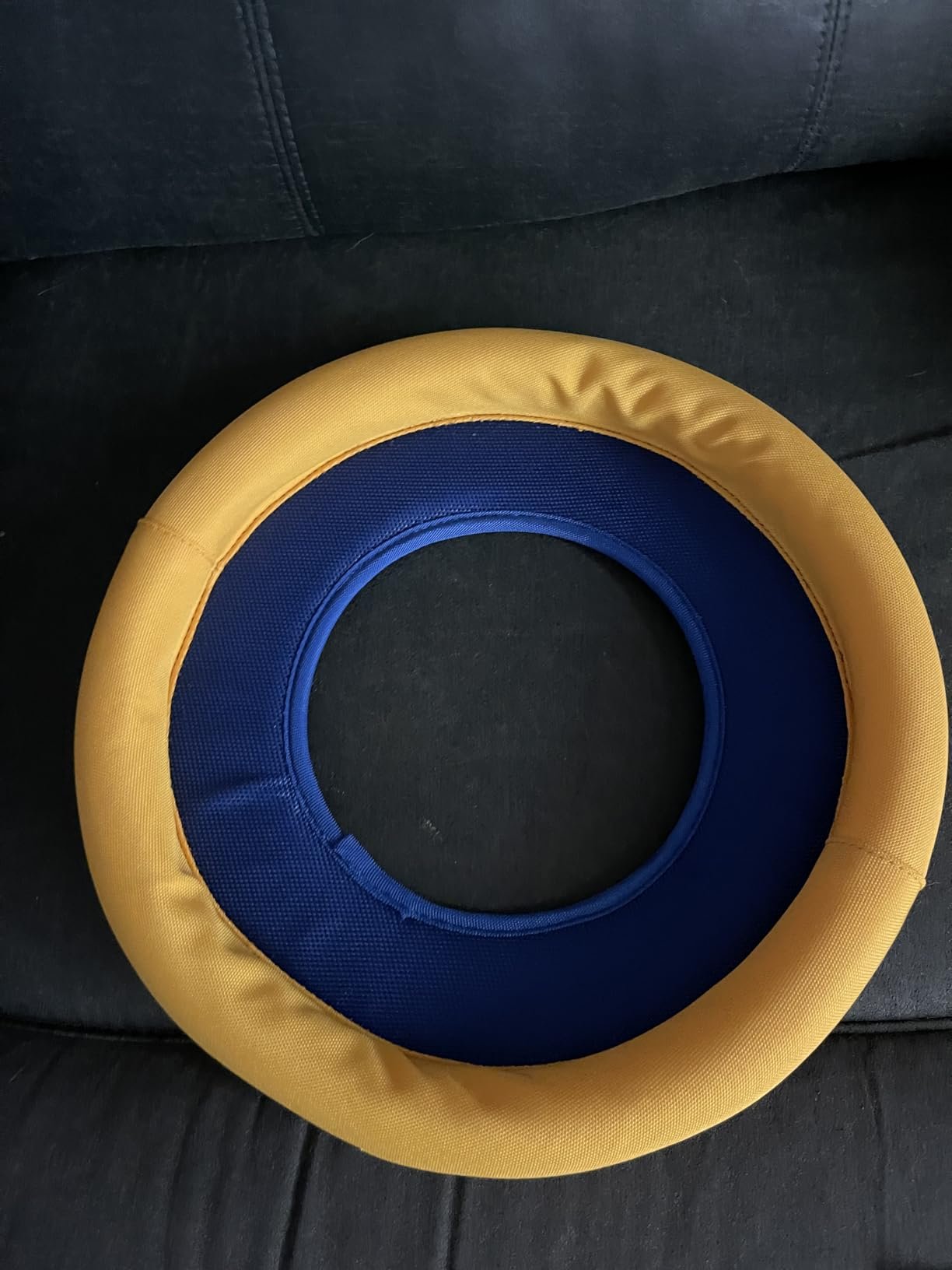 Soft Foam Dog Frisbee Toy photo review