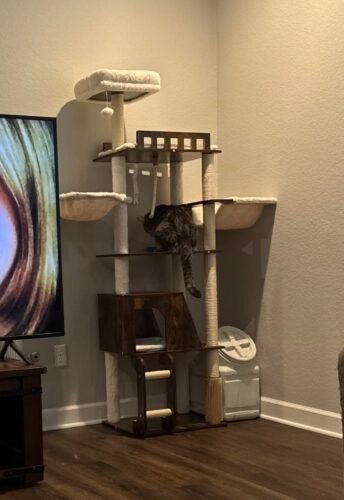 Hey‑brother Wooden Cat Tree photo review