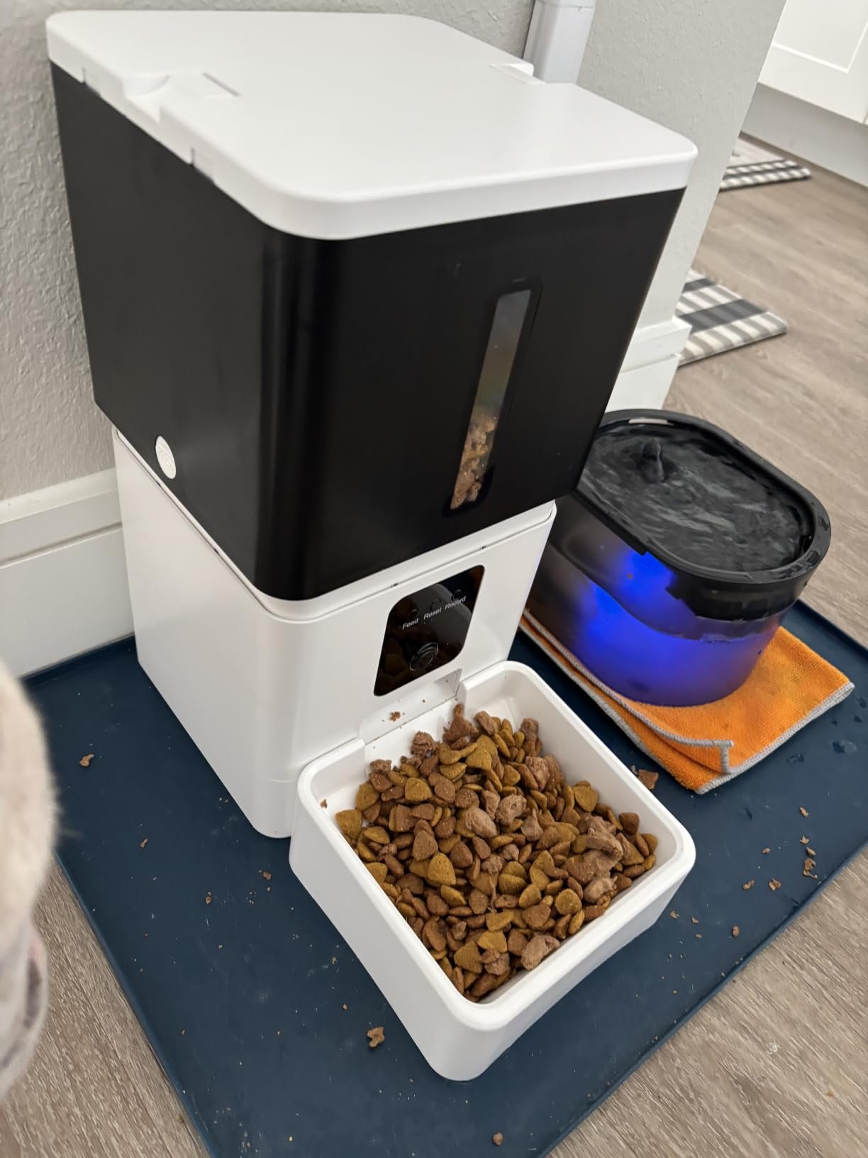 Large Dog Smart Feeder photo review