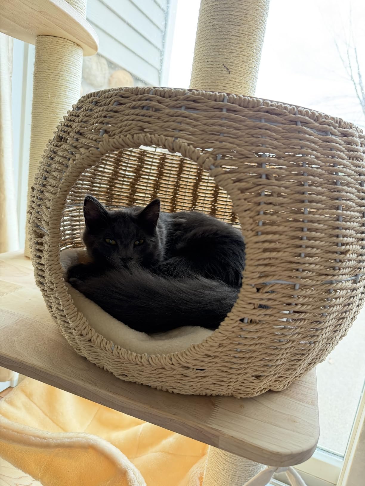 SHODMI Modern Cat Tree photo review