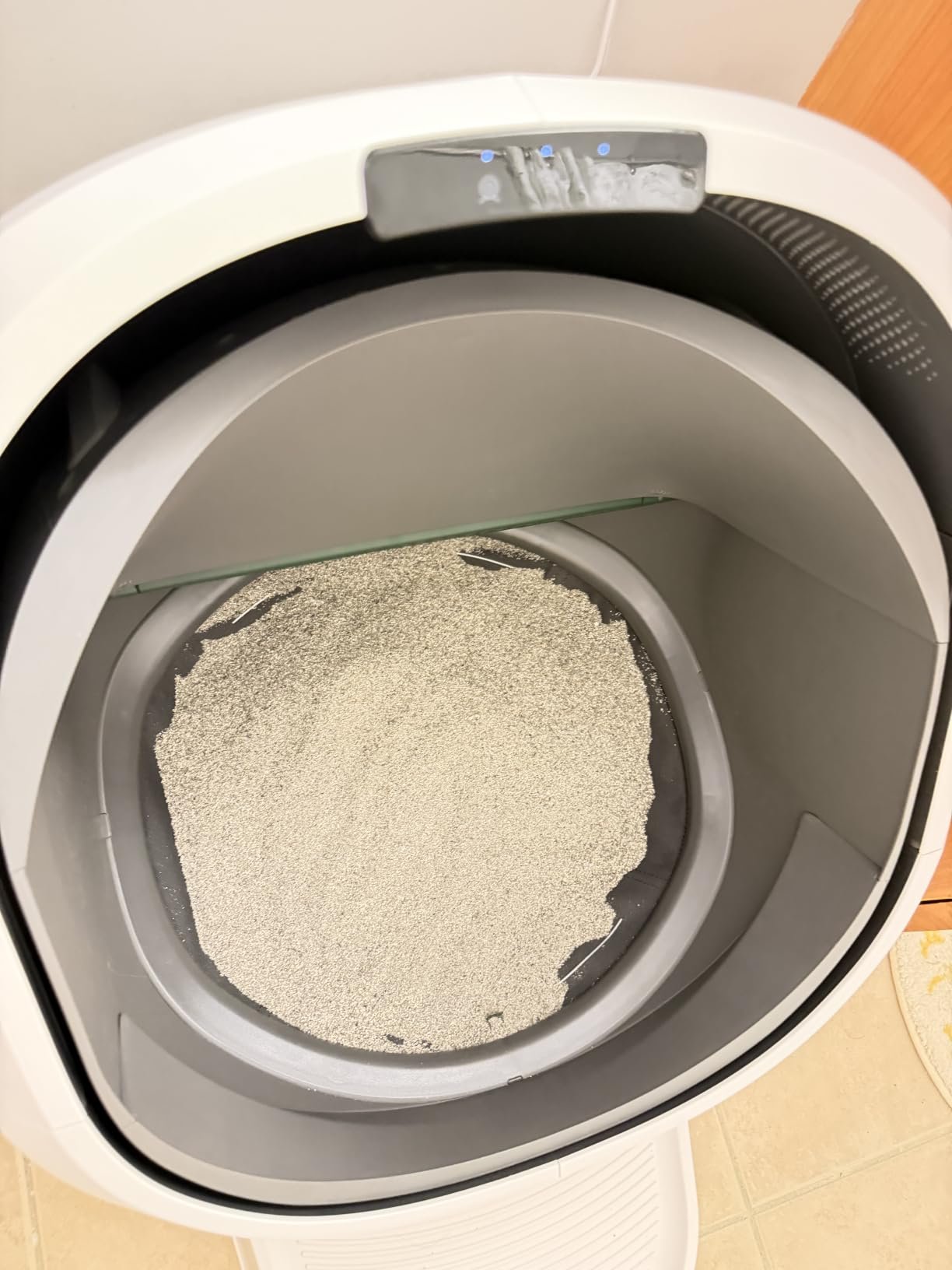 AI‑Powered Open‑Top Litter Box photo review