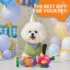 71nCO5x4vJL._AC_SL1500_ QDAN Durable Dog Soccer Balls