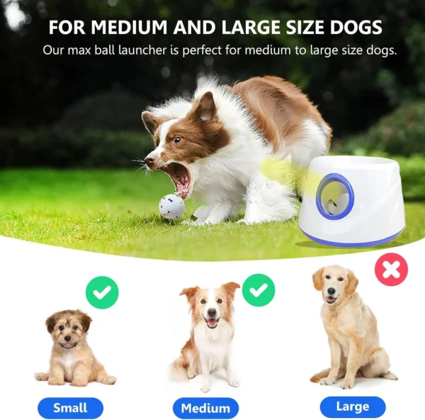 Interactive Fetch Dog Machine
