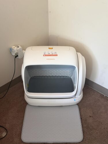 Large Multi‑Cat Litter Box photo review