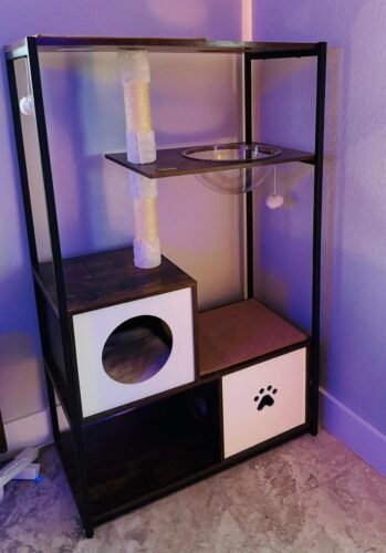 Tangkula Modern Cat Tree photo review